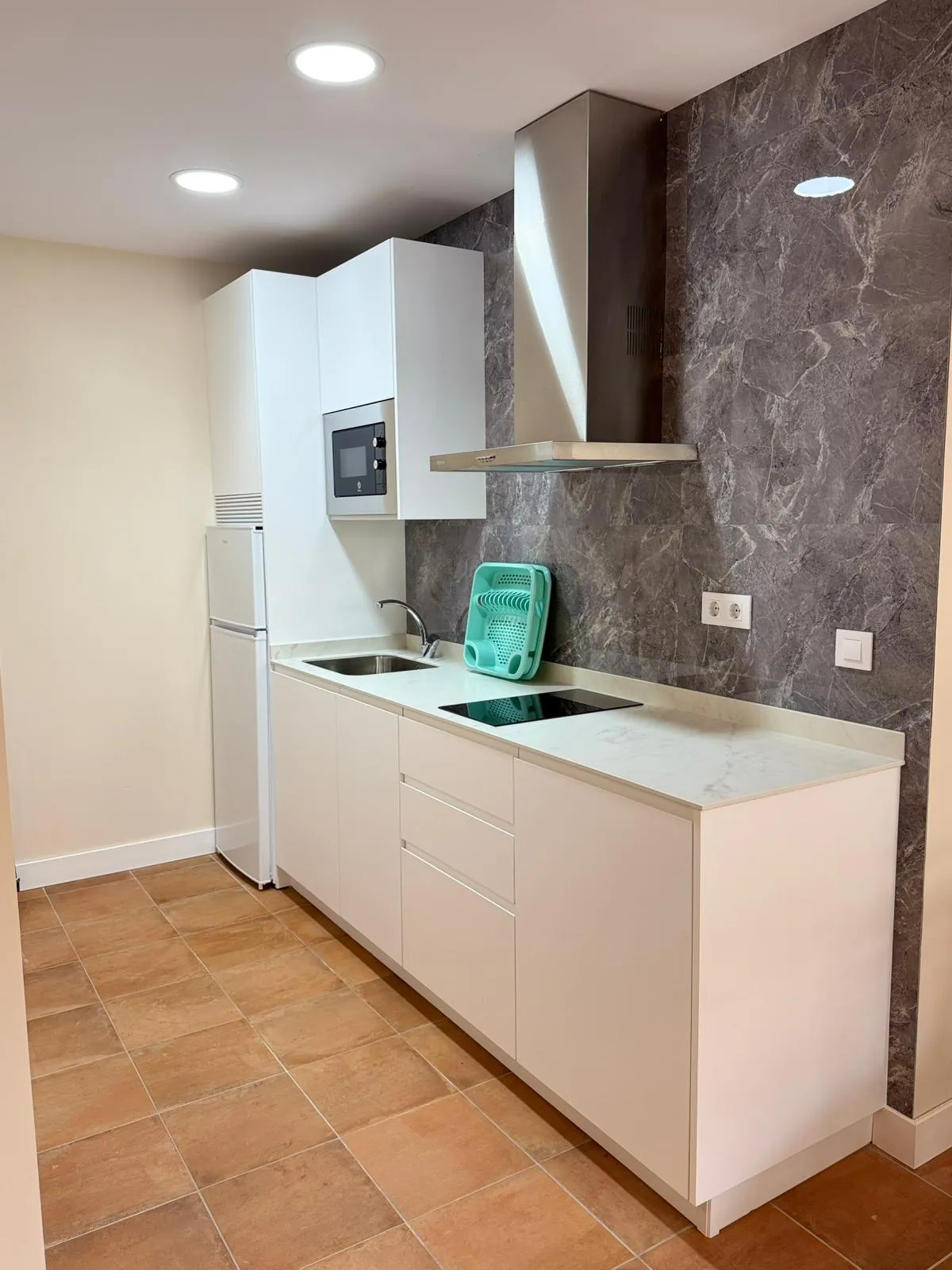 Equipped kitchen with induction hob and extractor hood