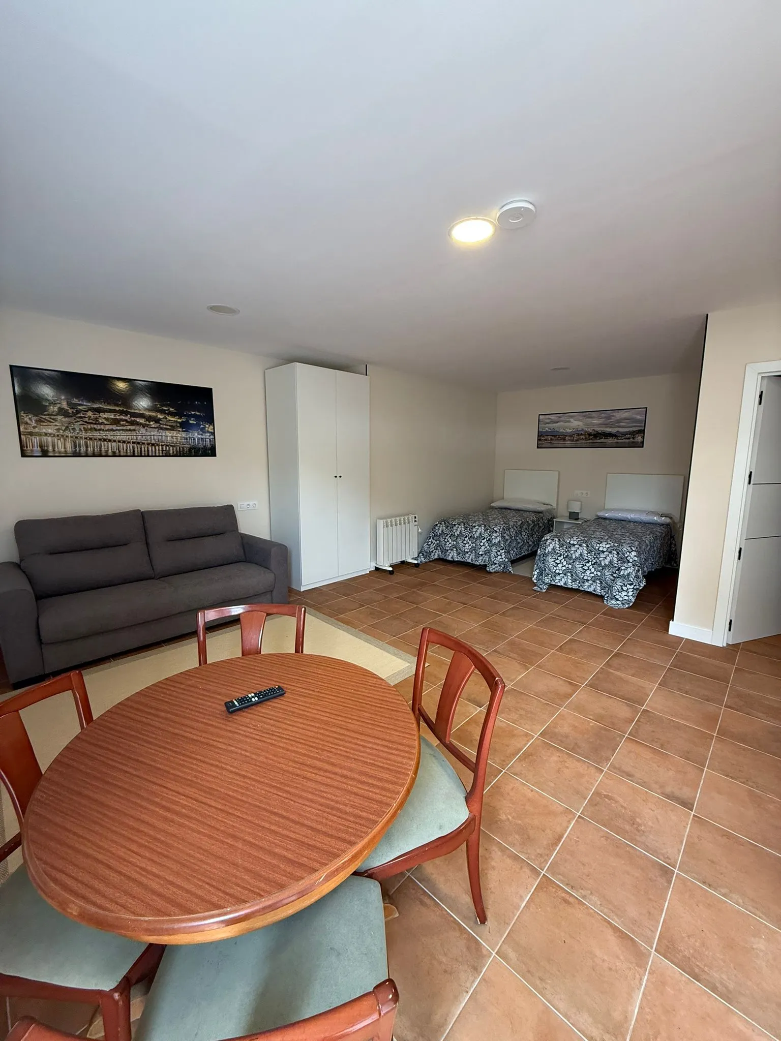 General view of the studio with living room, dining area and beds