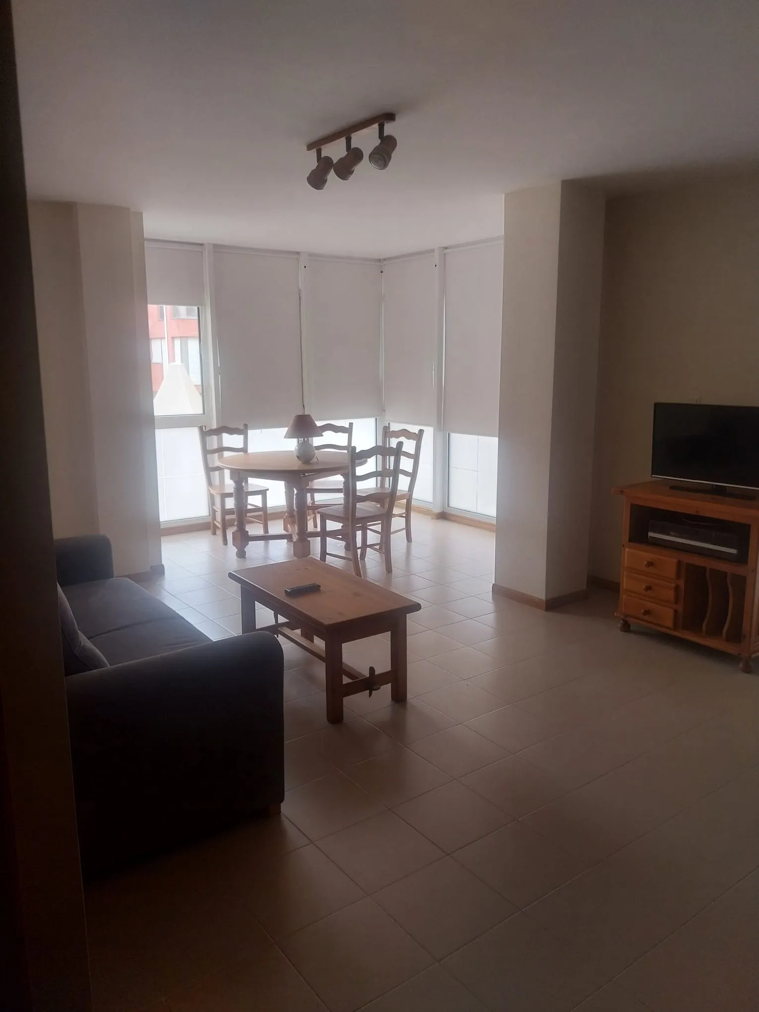 Salon-salle à manger du logement avec canapé, table et télévision